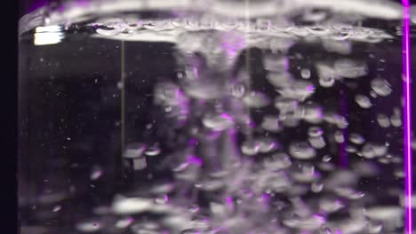 el agua refrescante se vierte en el agua creando burbujas se encienden burbujas de color rosa púrpura de la corriente se usa la masa para desplazar el agua en el recipiente creando burbujas de aire danzantes