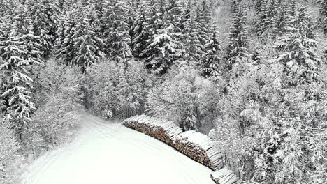 Stack-of-logs-harvested-from-a-coniferous-forest-in-winter---ascending-aerial-reveal-of-the-snowy-landscape