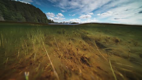 vista a dos niveles sobre y bajo el agua en el río otra, noruega