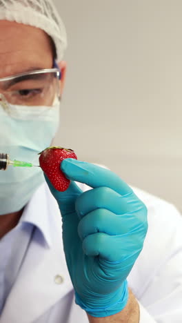 scientist injecting something into strawberry