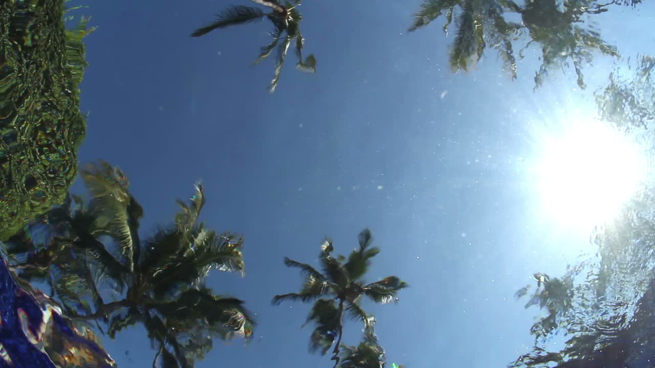 수영장에서 수영