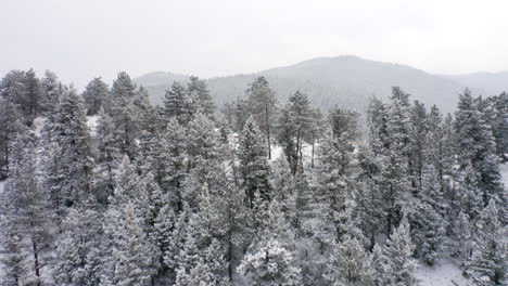Luftaufnahmen-Zeigen-Schneebedeckte-Kiefern-Und-Ein-Großes-Gebirgstal-Nach-Einem-Eisigen-Schneesturm-In-Colorado-Im-Winter