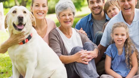 retrato de una feliz familia caucásica de varias generaciones sentada con un perro mascota en el parque
