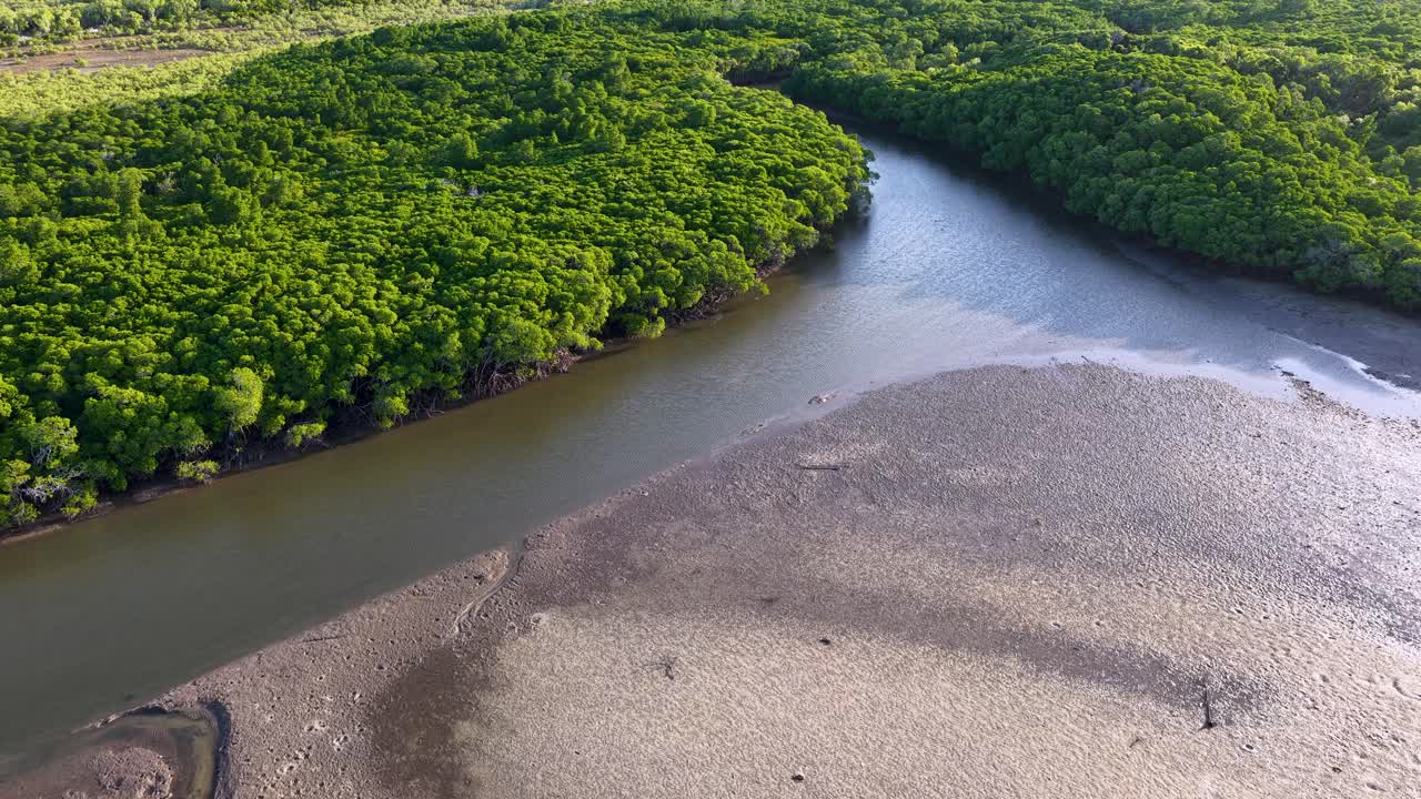 Drone captures lush mangroves and winding river in Port Douglas, Australia, under soft natural light