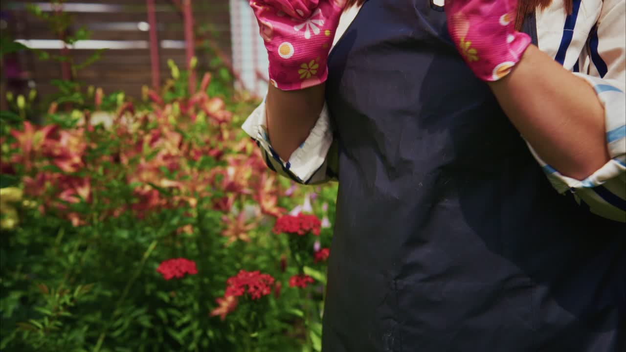Gardener wearing colorful gloves preparing to work in vibrant flower garden with lush greenery