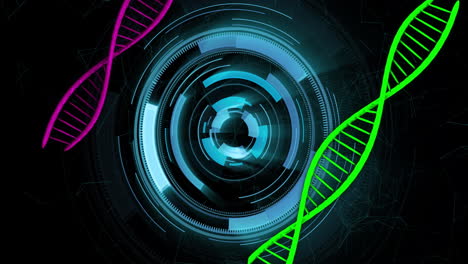 dna strands and rotating digital interface, scientific data analysis animation