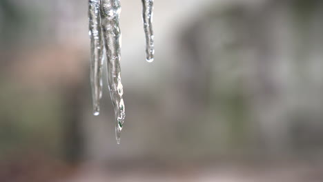 static ice melting water drops falling down, with copy space