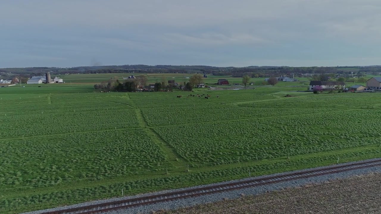 Vast Green Farmland With Livestock Grazing Near Railroad Tracks in Autumn Afternoon