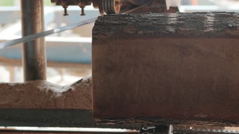 closeup of cut pine tree log on sawing machine at wood production factory. timber material processing and cutting at sawmill. manufacturing process at lumber mill. sawing woods on power machine