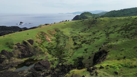 stunning aerial rising view of lush green hills and rocks with island paradise in background