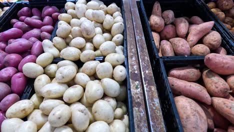 various vegetables displayed at queen victoria market