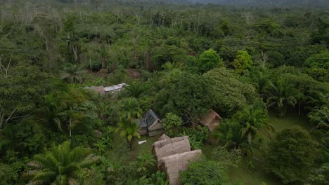 bolivia rainforest jungle huts pilón lajas biosphere reserve rurrenabaque aerial view
