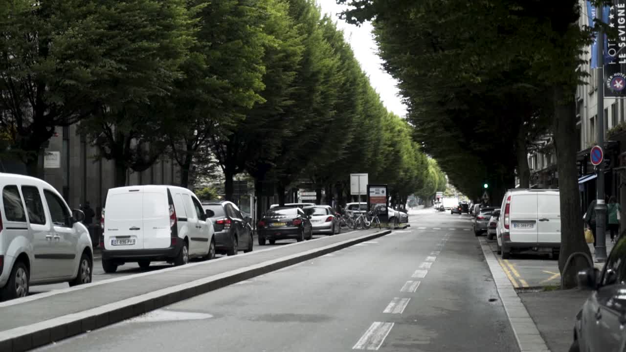 городская улица с выстроенными деревьями и машинами