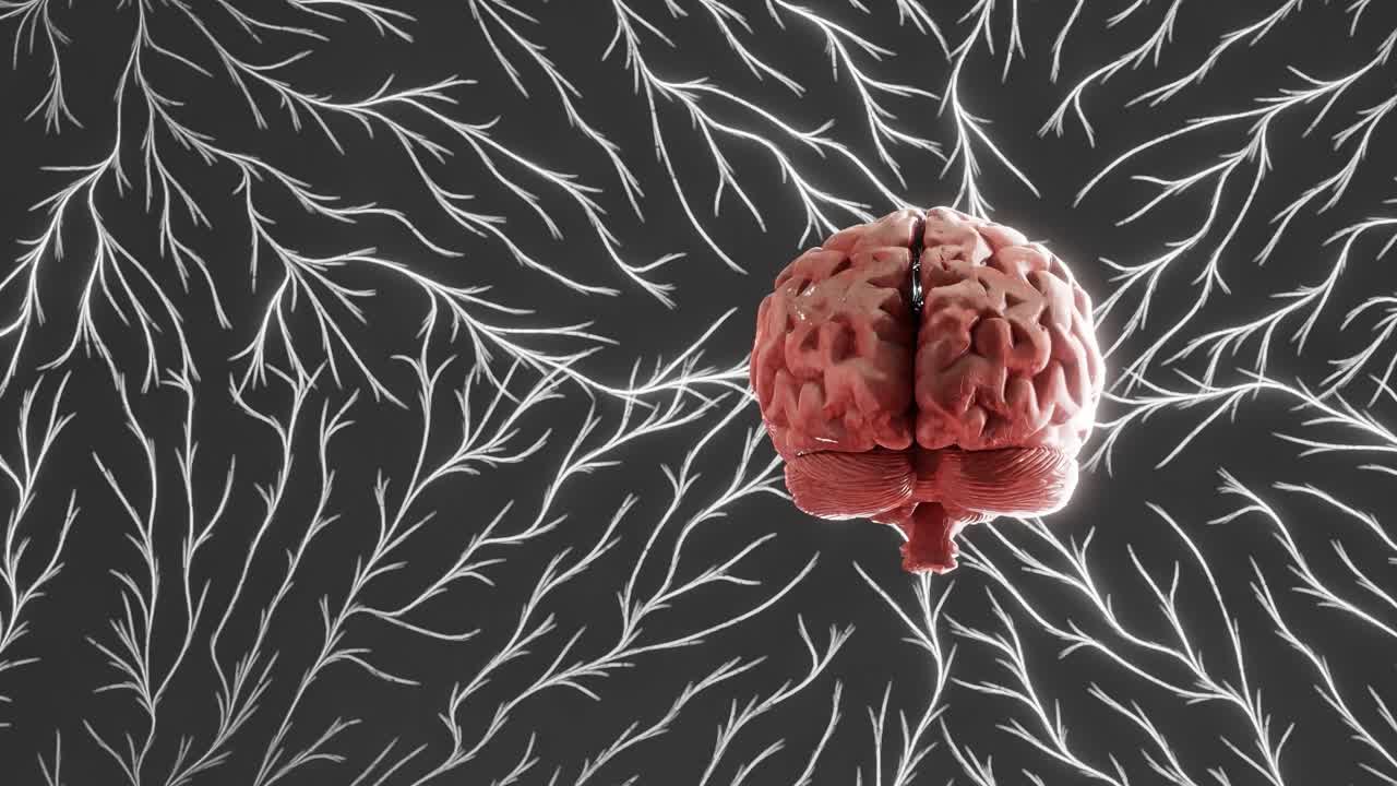 Human brain surrounded by abstract glowing white neuron branches on black background. 3D medical illustration with digital neural connections. Neuroscience and human anatomy concept.wallpaper,.