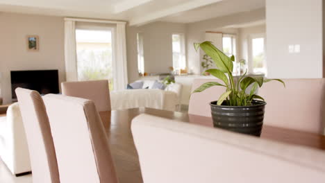 general view of light modern interiors with dining room table and chairs, copy space, slow motion