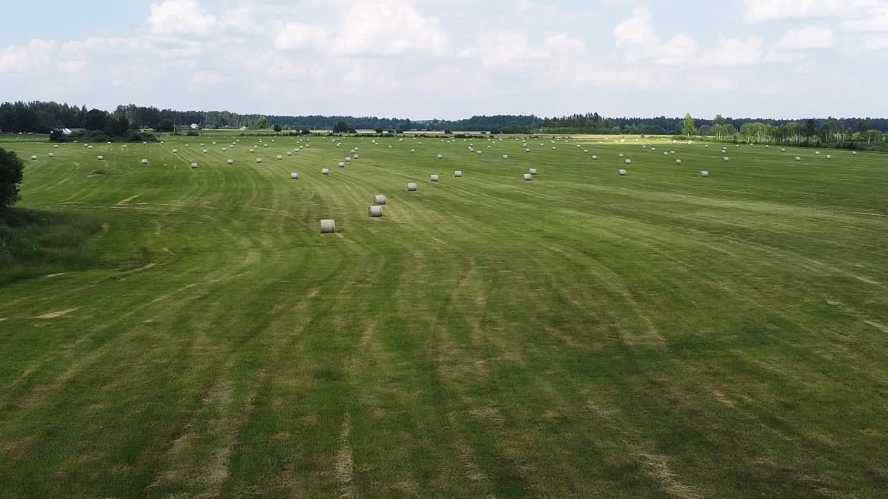 여름 동안 에스토니아의 넓은 들판에서 건초 롤의 공중 측면