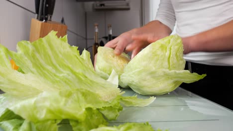 cutting fresh whole iceberg lettuce in the kitchen