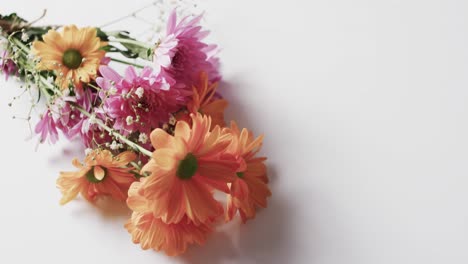 video de un ramo de flores de varios colores y espacio de copia sobre fondo blanco