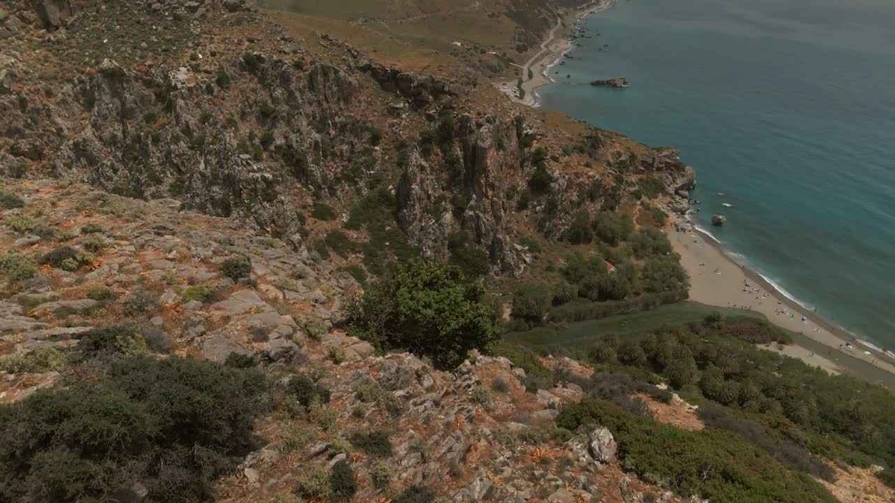Aerial view of palm forest along a river ending at a sandy beach on the Libyan Sea near Preveli, southern Crete, Greece, with rocky cliffs and clear turquoise water