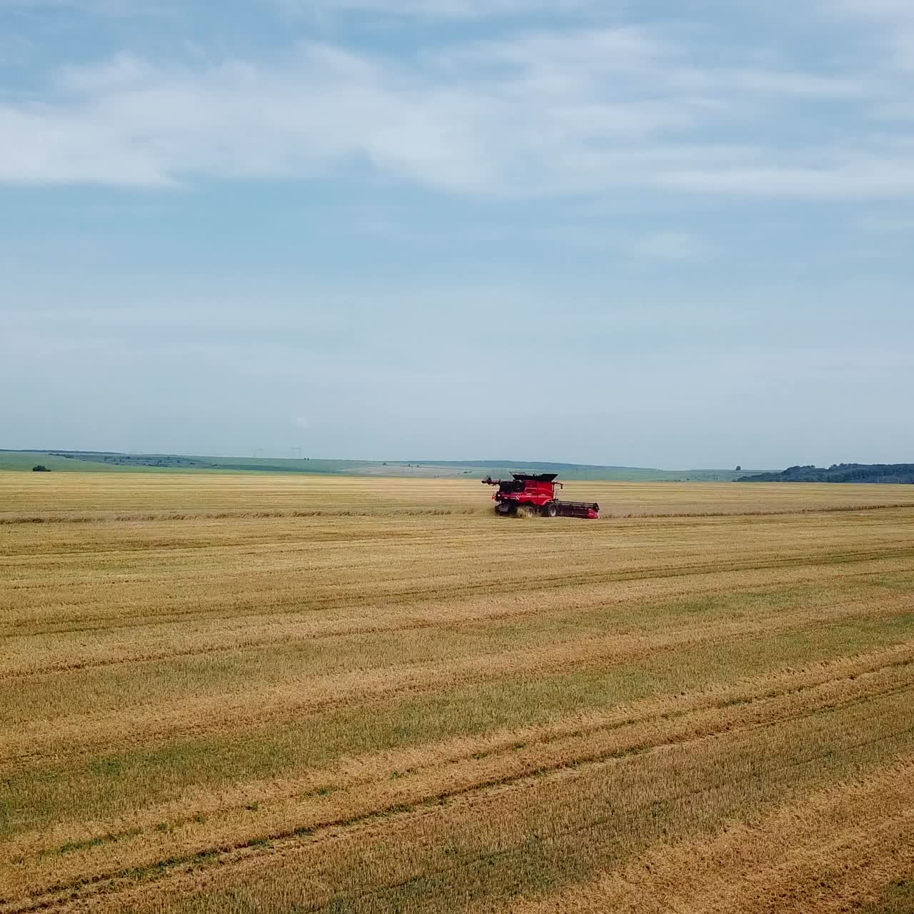 Aerial view on the combines working on the large wheat field. Harvest time. Agricultural sector