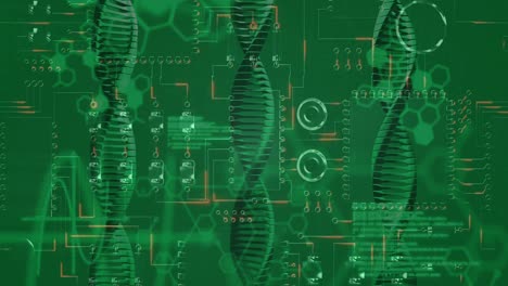 Animation of medical data processing over green background