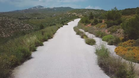 forward drone shot over a motorcyclist passing under the camera during a summer afternoon