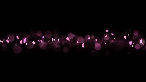 coloridos pétalos brillantes balanceándose en el fondo de la primavera con llamaradas solares. hermosa escena de la naturaleza. ilustración pétalos de cereza en flor. gráfico abstracto de primavera. animación de bucle.