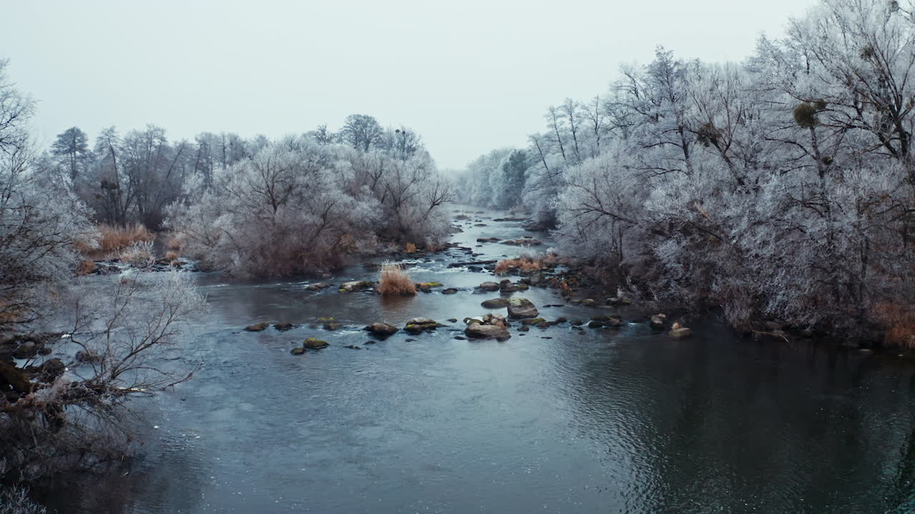 River among trees in winter. Snowy trees over the water. Beautiful scenery of a nature in winter season.