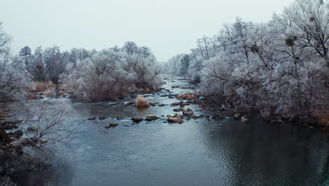 river among trees in winter. snowy trees over the water. beautiful scenery of a nature in winter season.