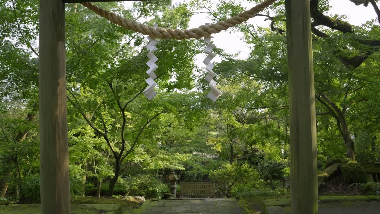 Beautiful slow motion push in toward Shinto shrine Torii gate inside lush green forest