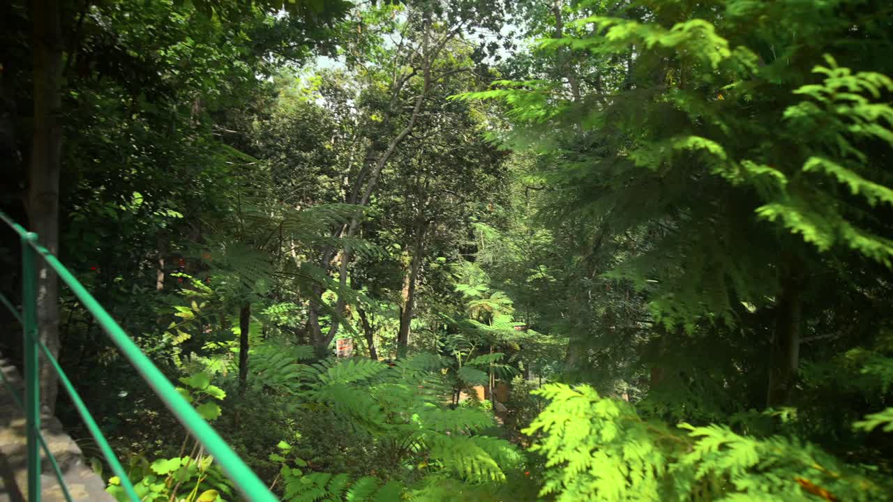 las imágenes fueron filmadas en madeira, portugal, en el jardín tropical de monte palace.