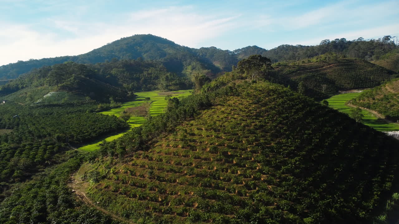 Vista aérea de una montaña con plantaciones de café y campos de arroz en Ta Nang, Vietnam