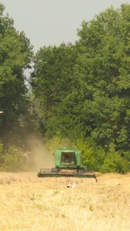modern combine harvesting grain in the field