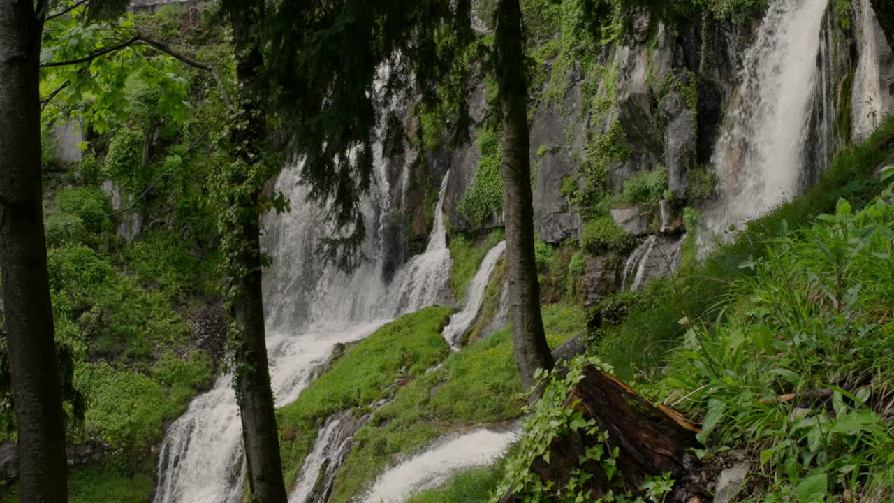 Cascata che scende da un fianco roccioso in una foresta lussureggiante