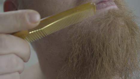 man combs his long beard with a small comb