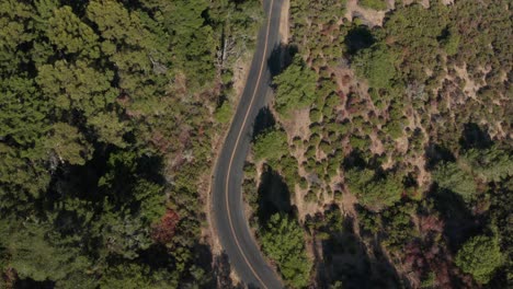 Following-back-road-through-the-Berkeley-hills-aerial-shot-looking-down,-Northern-California