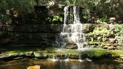 waterfall at zilker park