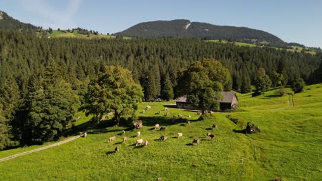 scenic sunset drone shot in highland nature of switzerland in the mountain golden time in obersee nafels swiss wonderful land of nature fresh organic vivid colorful glorious travel tourism concept