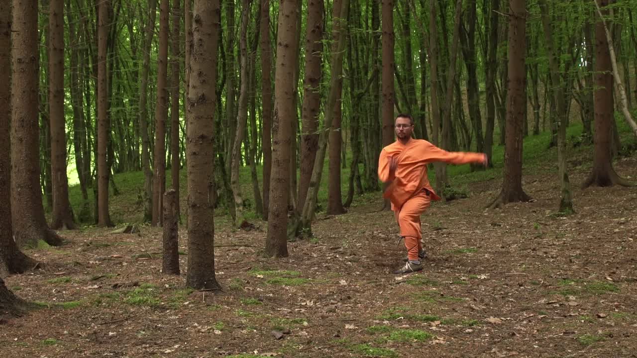 Man In The Forest Performing Kung Fu Stances. - wide shot