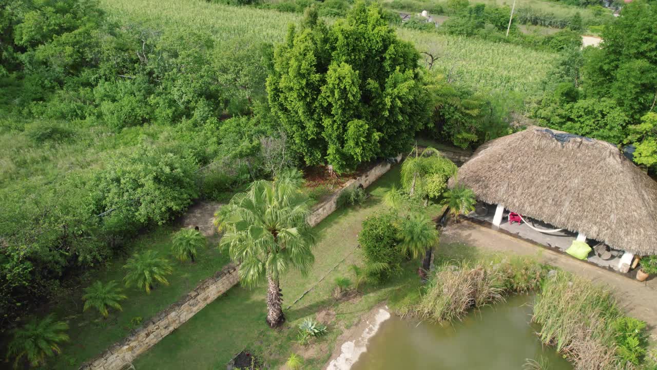 desde arriba, admirar los árboles verdes y exuberantes que rodean una impresionante piscina natural en etla, oaxaca, méxico