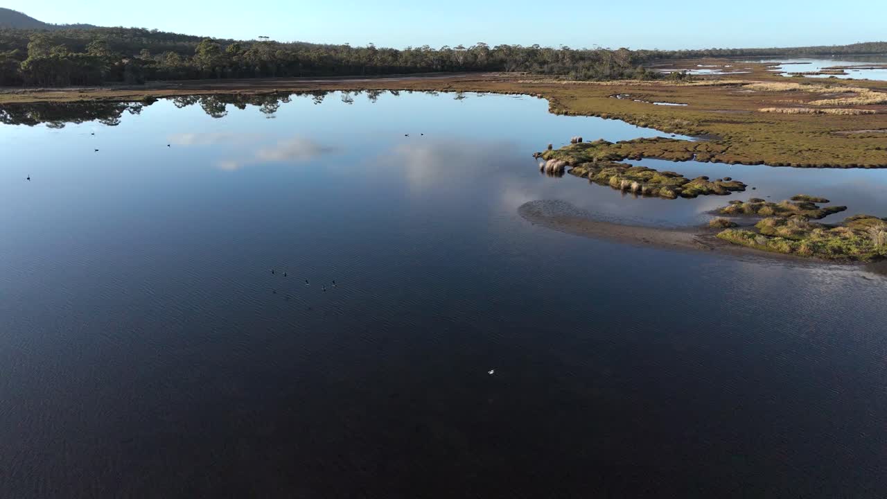 해가 지는 시간 에 태즈매니아 의 보호구역 만 위 를 날아다니는  새