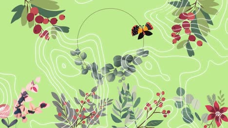 animation of flowers, berries, foliage and butterfly, over white contour lines, on green