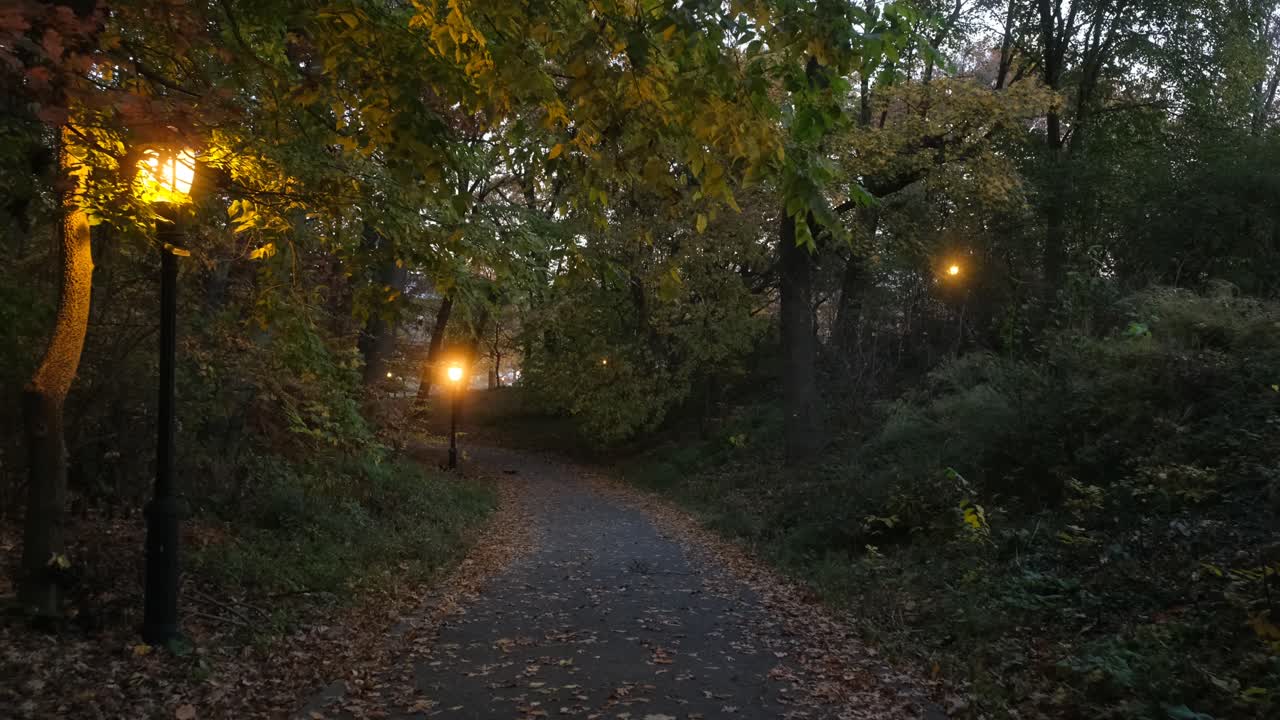 caminar al atardecer por un carril solitario del parque en otoño con hermosas farolas
