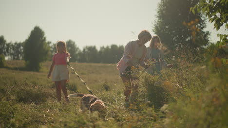 young child holding dog on leash while walking alongside two women picking flowers in nearby garden within vast farmland, sun shines over scenic countryside filled with lush greenery