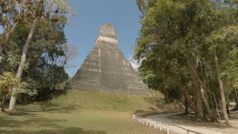ruinas mayas en tikal en guatemala