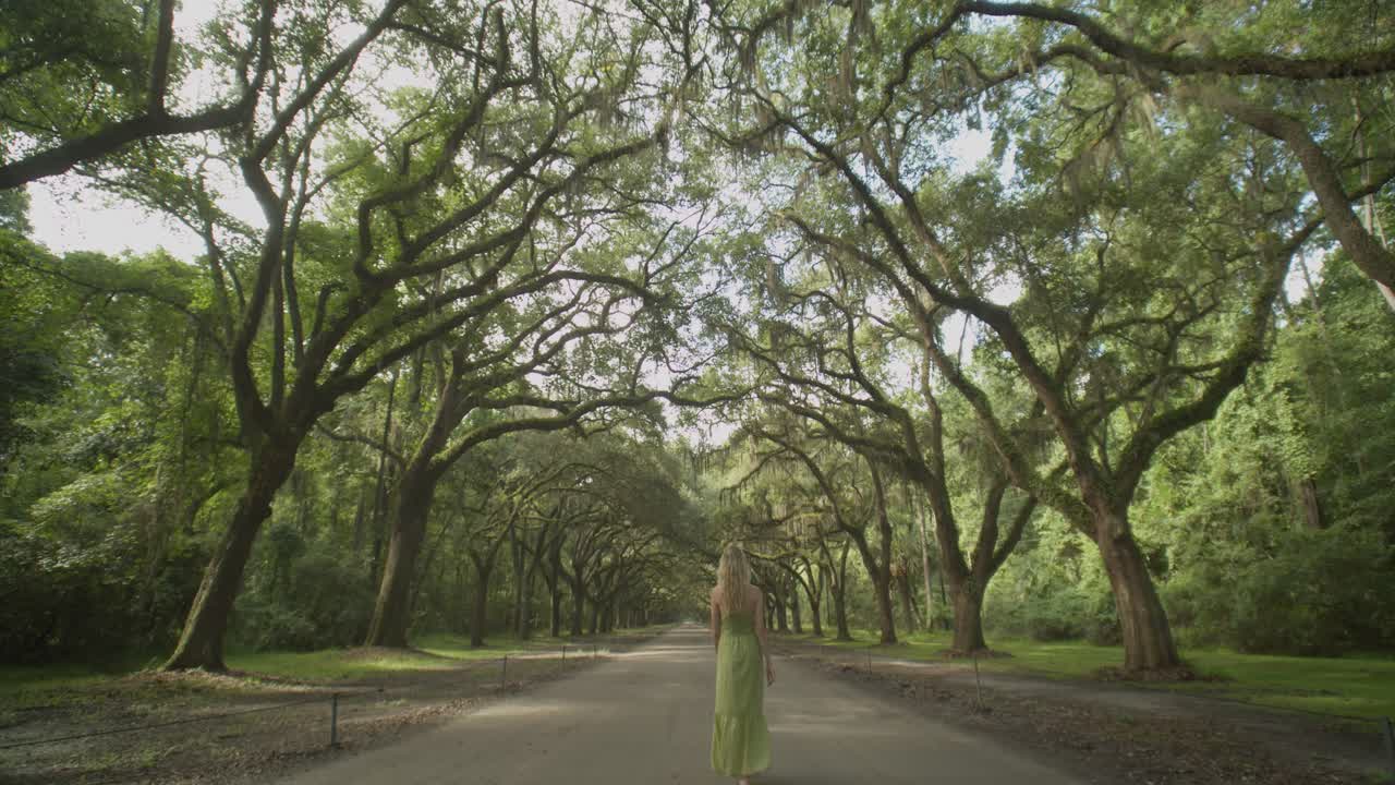 젊은 여성이 웜슬로 역사 유적지에 있는 이끼 낀 나무 사이를 걷는다.