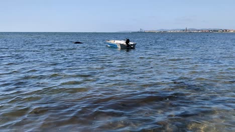 4k 60fps dinghy with outboard engine moored in water at beach in southern sweden