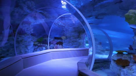 underwater tunnel aquarium