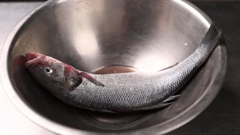 fresh sea bass in a metal bowl