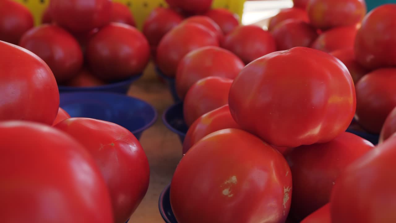 cacerola lenta a lo largo de los tomates a la venta en el mercado de agricultores, cacerola de primer plano